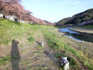 0959C60D-3F14-4F61-9648-C4FA2E0E4E16