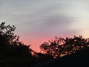 0AFE1BC5-887E-4E15-B359-CEA9D613D811