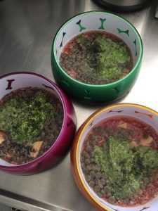 0D304928-641E-4EAA-B845-41443565140B