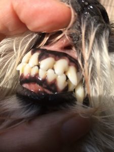 153D8A8B-46A8-4139-9D48-7FFB80F987FB