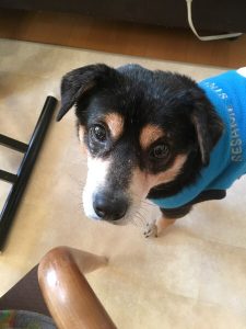 21C8A0C4-B62D-40A3-B9D6-AB3F3E91E34A