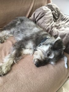 277F71B2-5FD6-4A41-B107-8AF77AA573C5