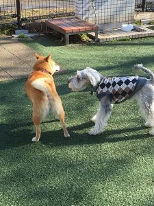 29749EE5-ECE0-4E13-9C81-9AFA44D2B51B