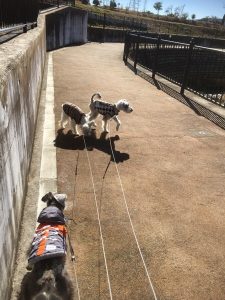 375188F4-44C3-4B78-897F-A30BEA7D5C7B