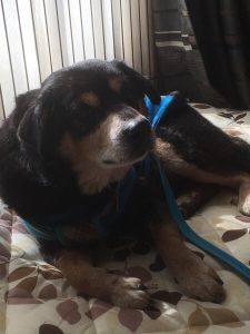 3A4BD514-5C5A-414F-8AD2-30FF99ED5E2B