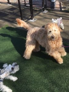 3D7F2BB6-CD6A-4AD0-B50F-807AC6F1A26C