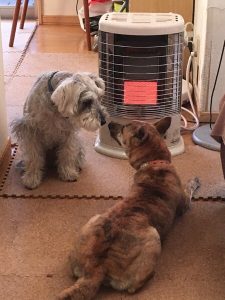 4ACE8ED5-CB9B-44EF-8158-637DAA87F532