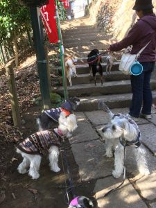 4C2E48A5-3F0D-4061-BC03-F10CABF8E96E