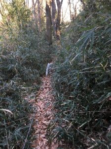 64E89B13-0CC2-43A7-804D-BD6AC9365F8A