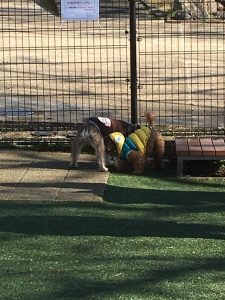 6A6C5498-52B9-40BA-A553-A812B75024EB