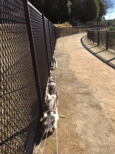 6CEC6303-D1A3-4C66-AEF0-32747C939458