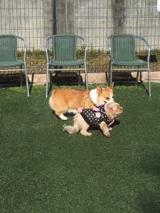 700455B1-50BC-4461-BA36-7116173FCDB1