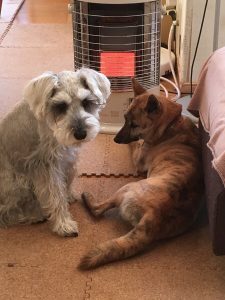 85817A88-E383-4B69-9DCD-00CA9D496BE4