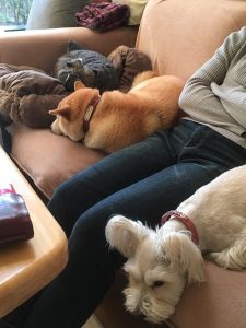 86828EB2-18ED-4C19-BD09-0D91AC0EEA73