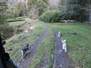 92C428D6-E140-4F73-90E8-F92208FF7207