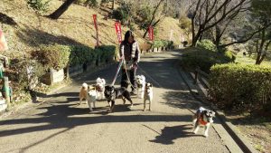 9449BF49-B4DA-450A-BE1C-61B9123D6366