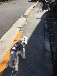 B08BD635-C938-4F53-8EF4-DC6108967CEA