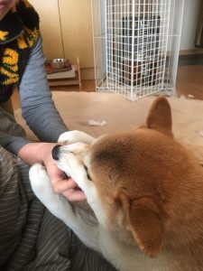 BE143AEF-1F96-4529-B54E-6DBA5933B9B2