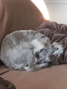 BF852235-5D70-4C0C-AF21-CD6EA1441C73