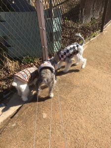 C28FA392-F151-4761-8128-3DB4FCF3F32F