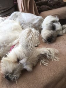 C87F8474-EABF-4689-A8E6-BDF832024967