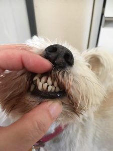 CFEB47DC-F5BA-4526-B176-96BF8545D840