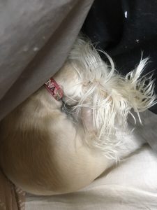 F03E69D6-4197-45D7-89F3-C8F7F64A10E5