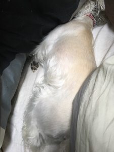 F630BBB2-B5A1-4948-B1D4-A817E8AF5C5C