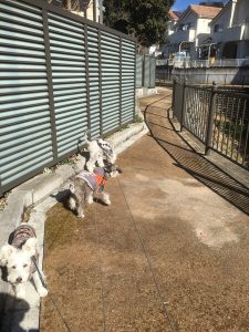 FC697AFD-5991-4D78-8DD1-78407A1B2174