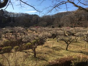 FCD2F9A2-DFAB-48BB-8AB1-17F4039195C0