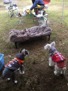 02B6D126-2FB5-4B31-AD39-A55DD112C2EB