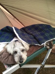 125CB43F-AD44-49FD-81B1-CD4B7557FF29