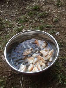 19E7A347-F27A-4AEA-A079-09D562DEBB38