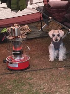 1A24B857-FD9E-4382-B105-60E69717B580