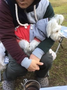 266A7168-A550-4457-9634-2967326A0920