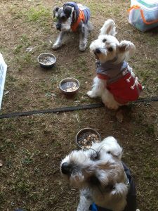 2A866309-8028-45C8-B487-4D3905F2483B