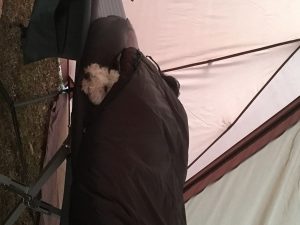 33C9F224-B96D-4C5C-9748-5630D24F9373