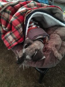 3FCFB71B-19A1-455E-BDD3-EE81D635B155