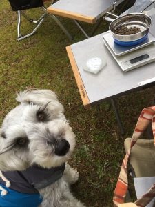 45269616-7BD5-40E6-9029-9D62BB239D2E