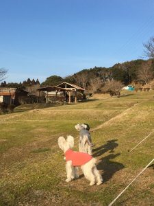 4A1DACE6-6E0D-429F-8124-65FFE8CF1963