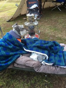 5E8BD977-F2A4-4725-8F2C-A6803D381B3D