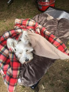 6058DAEB-26BC-4059-B7A5-0A07C2BE62AA