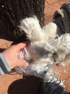 63F8B579-D09D-40F7-BC51-3370B4E0E804