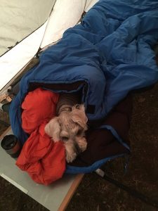 6EB2ED8E-AA99-4ED8-91A1-13B31203AF8F