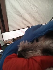 8A853644-89CB-47ED-B5F9-8A2E4DE0CC07