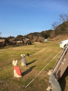 B0DE1150-BB9A-4692-B1C0-86D91E927A8C