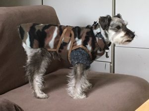 B3129ED0-0B0B-4785-9221-04B72EB78B93