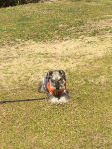 BF81C0AB-B079-4465-A7EC-38FA53D28554