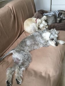 C139DECC-3497-4DD6-BD57-0265E9891258