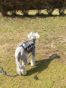 CBE45D22-A2DD-4C96-83DE-D41369EFF327